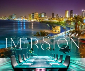 Restaurant Cacher ImerSion - logo