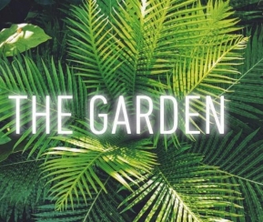 The garden - 1