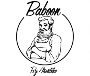 Baboon by Monteko - 1