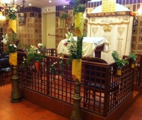 Synagogue Beit Chalom - logo