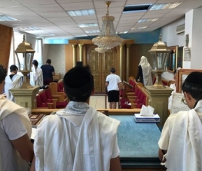 Synagogue Or David - logo