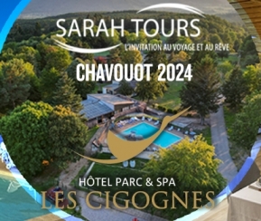 Sarah Tours Chavouot Hôtel Parc & SPA les Cigognes - 1