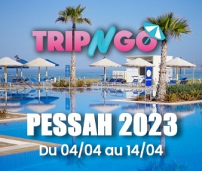 Pessah 2023  de Luxe au  WHITE BEACH à Taghazout  - Agadir - OFFRE LIMITEE - PRISE EN CHARGE D UNE PARTIE DES VOLS - 4