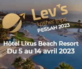 Lev's Kosher Luxury - 2