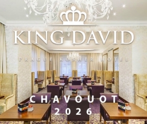 Voyages Cacher King David Prague Chavouot - logo