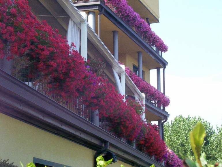 Kosher Holidays Souccot Riva de Sole Souccot 2024 Voyager cacher à