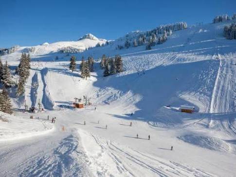 cover C.Lodge - Chalet Horizon