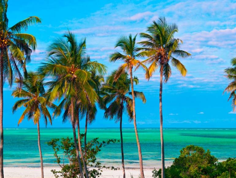 cover Oneg Loisirs & ACDMJF - Tanzanie et Zanzibar 2025