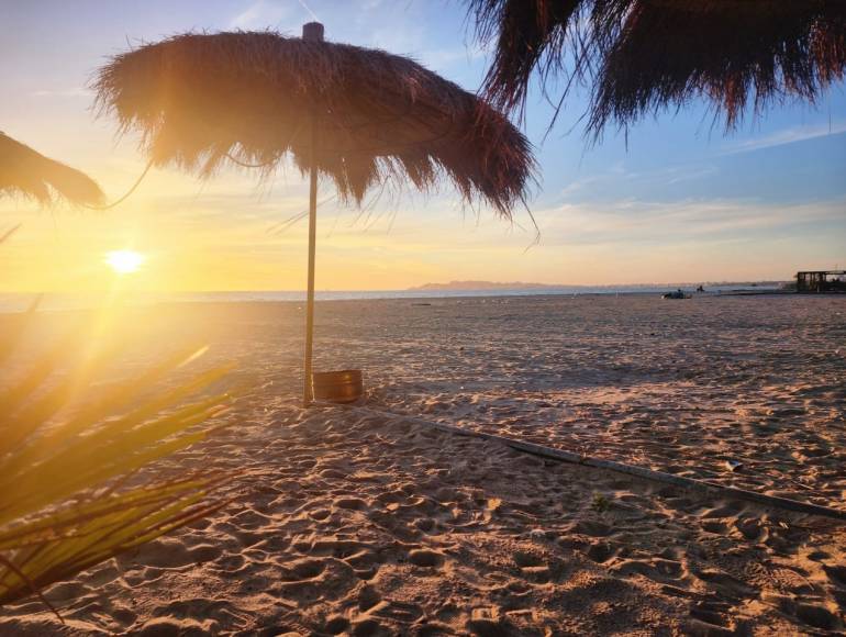 cover Dholydays Pessah Albanie