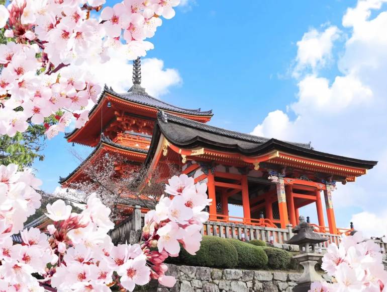 cover Japon & Corée. David Cruise